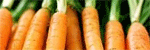 carottes.gif